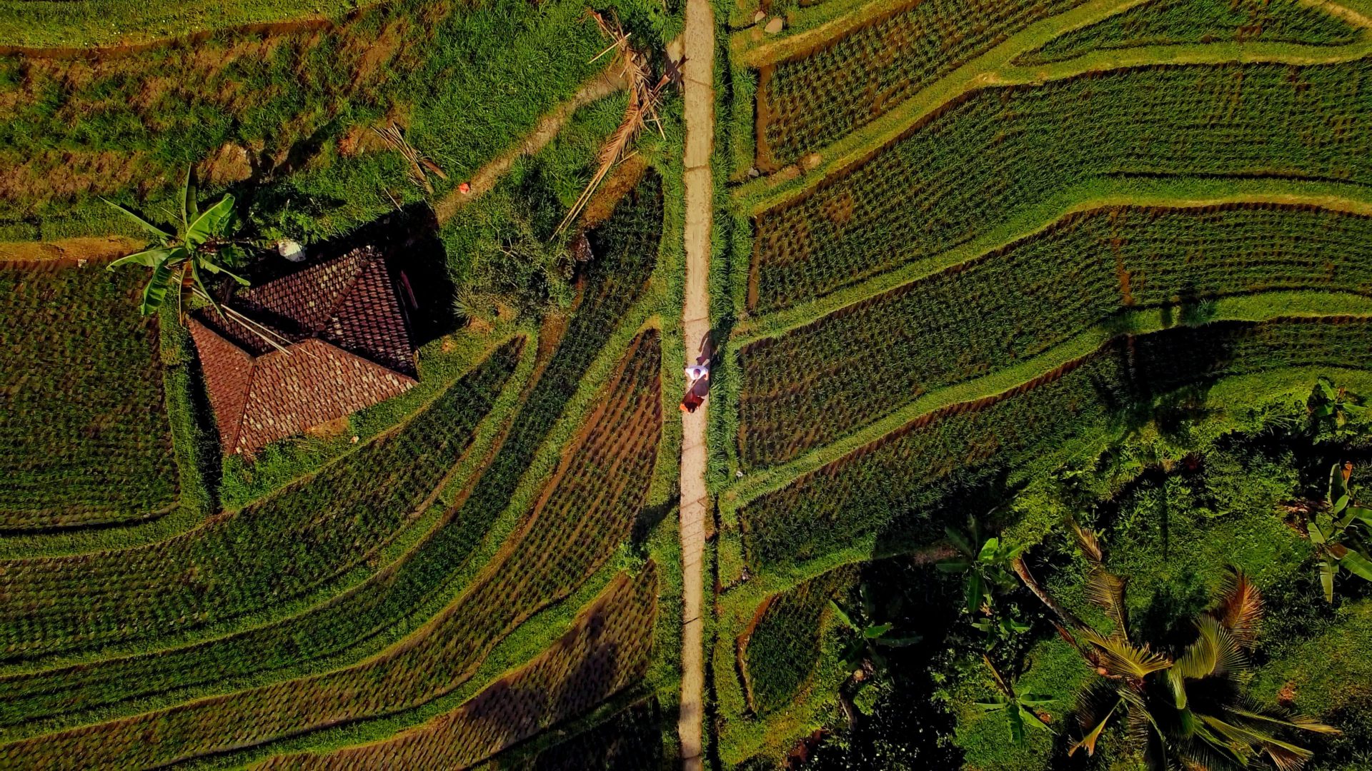 1 1.53.2 e1574776255471